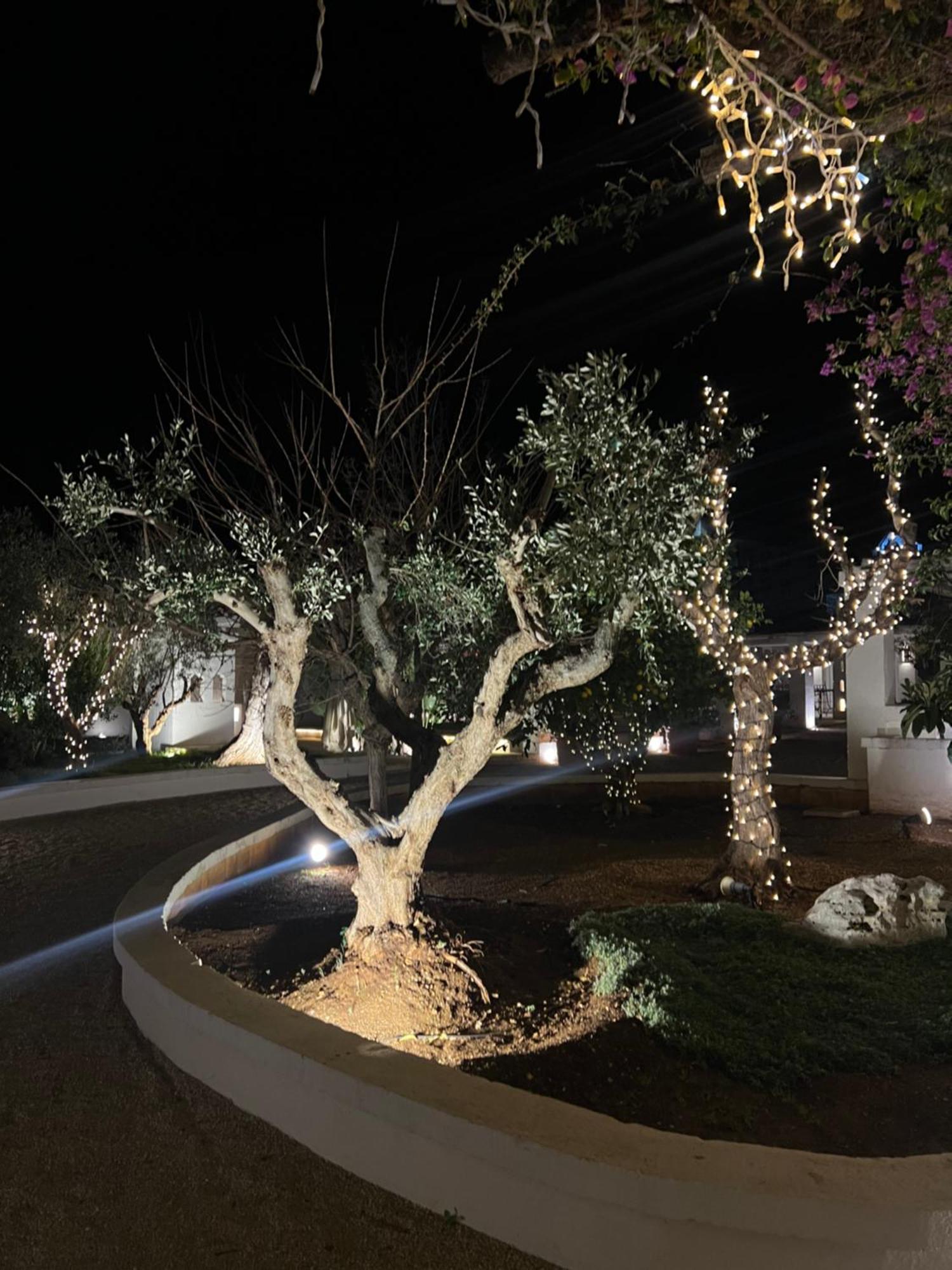 Masseriola Antiche Fogge By Apulia Hospitality Fasano Eksteriør billede
